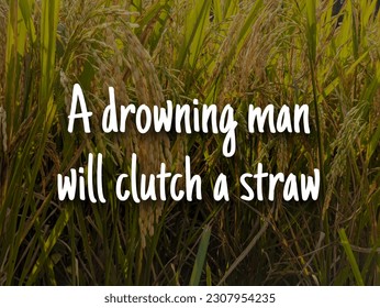 A english proverb Quote text with background. A drowning man will clutch a straw