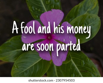 A english proverb Quote text with background. A fool and his money are soon parted