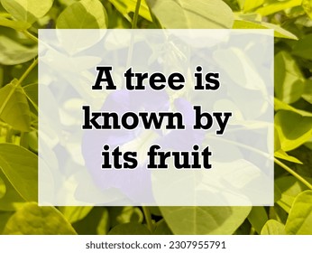 A english proverb Quote text with background. a tree is known by its fruit