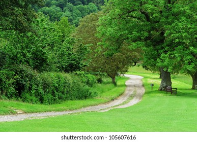 An English Rural Lane Passing By The Village Green