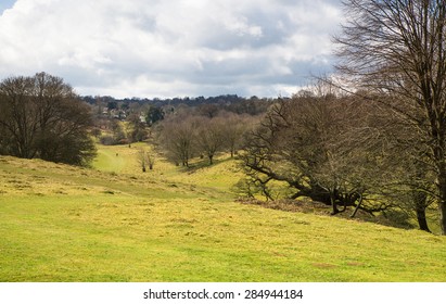  English spring forest forest - Shutterstock ID 284944184