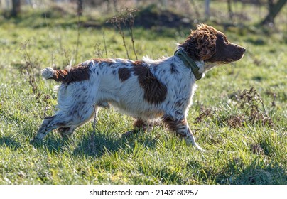 Stock Photo and Image Portfolio by Shirebrook Photography | Shutterstock