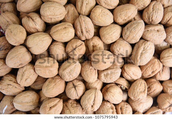 walnut shell reptile bedding