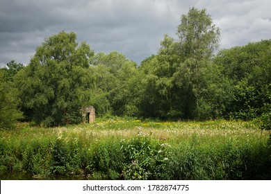 An English Wild flower meadow with brick ruin and trees all around