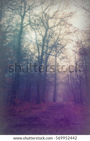 Similar – Image, Stock Photo edge of the forest Autumn