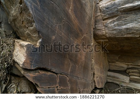 Engravings of paleolithic rock art at open-air in Piscos valley within Coa Valley in Portugal, Europe, Worl Heritage Site by the Unesco