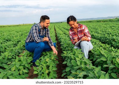 Engrossed in conversation, two business partners meticulously assess the thriving soybean field, filled with a sense of pride and determination. - Powered by Shutterstock