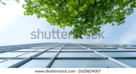 Enhancing Sustainability and Efficiency in Architecture Through Nature-Inspired Biomimicry Design Principles. Concept Sustainable Architecture, Efficiency Design, Nature-Inspired, Biomimicry