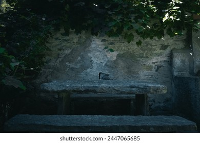The Enigmatic Aura of an Empty Stone Table in a Serene Village
