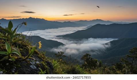 Enigmatic Misty Peaks of Gunung Latimojong at Dawn