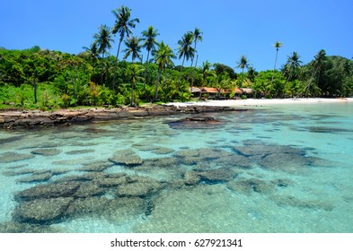 Enjoin a good summer time on the beach with clear water and blue sky at Bang Bao Beach on Koh Kood island in Gulf of Thailand - Shutterstock ID 627921341