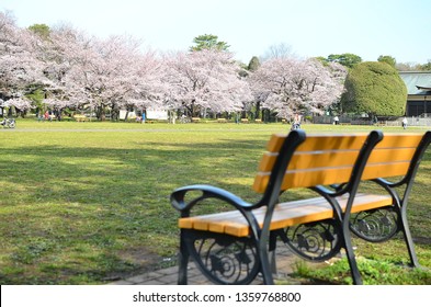 桜 芝生 イラスト 背景 Stock Photos Images Photography Shutterstock