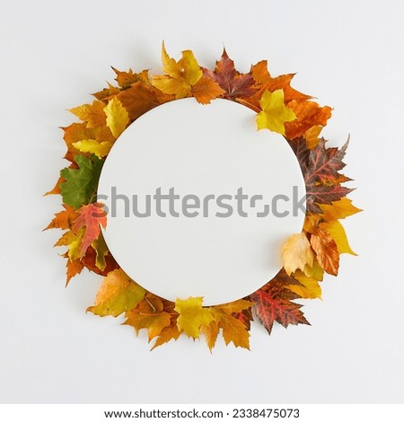 Enjoy the beauty of the autumn season. Top view shot of colorful autumn leaves on white background with blank circle for advert or message