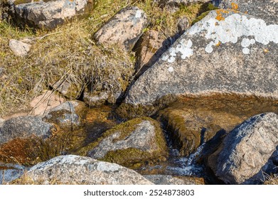 Enjoy the beauty of nature with stunning photos. Breathtaking images of flowing water and serene landscapes. Illustrates the harmony and serenity of nature. - Powered by Shutterstock