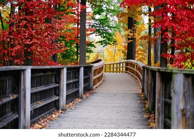 Enjoy the fall color in Canada - Shutterstock ID 2284344477
