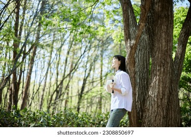 Enjoy forest bathing while relaxing in the early summer forest