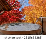 Enjoy a hot spring while watching the autumn leaves