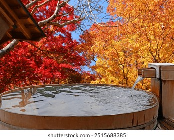 Enjoy a hot spring while watching the autumn leaves - Powered by Shutterstock