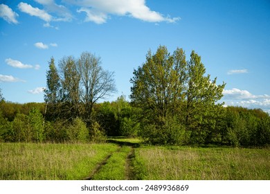 Enjoy the peaceful scenery of a landscape with green trees under a beautiful blue sky - Powered by Shutterstock