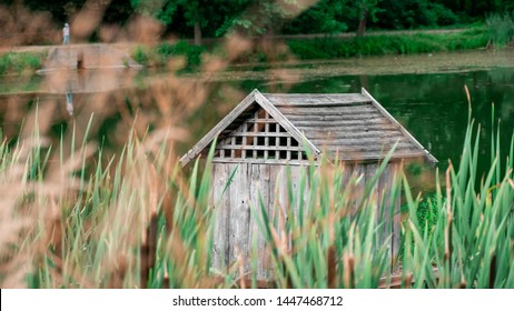 Fotos Imagenes Y Otros Productos Fotograficos De Stock Sobre