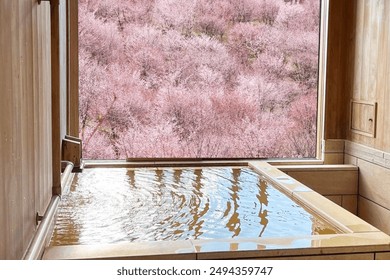 Enjoy the spectacular view of the cherry blossoms while bathing in the open-air bath - Powered by Shutterstock