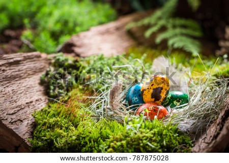 Enjoy your Easter time in the green forest