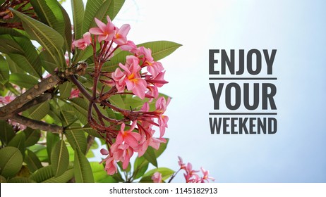 Enjoy Your Weekend Bilder Stockfotos Und Vektorgrafiken Shutterstock