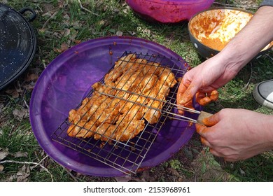 Enjoying A Barbecue At The Picnic, Arranging The Chicken Cutlet With Sauce On The Wire Grill, Grilled Chicken Cutlet,