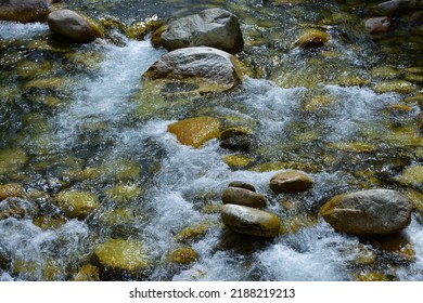 Enjoying The Cool Breeze Of The Cool River