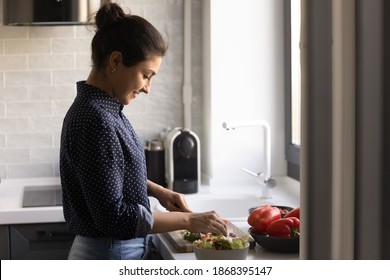 Enjoying Easy Cooking. Smiling Millennial Indian Woman Prepare Tasty Meal Of Fresh Vegetables At Home In Good Mood. Happy Hindu Lady Vegan Spend Time At Kitchen Cut Salad On Lunch Dinner With Pleasure