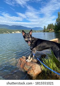 Enjoying Lake Windermere On A Beautiful Summer Morning.