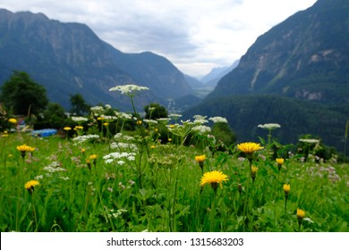 Enjoying The Nature In The Middle Of Ötztal Alps, A Nice Vacation To Spend.