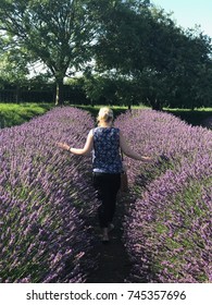 Enjoying The Norfolk Lavender Fields