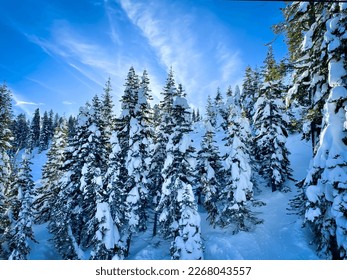 Enjoying Palisades Tahoe in California - Shutterstock ID 2268043557