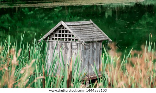 Enjoying Peaceful View On Lake Reflection Stock Photo Edit Now