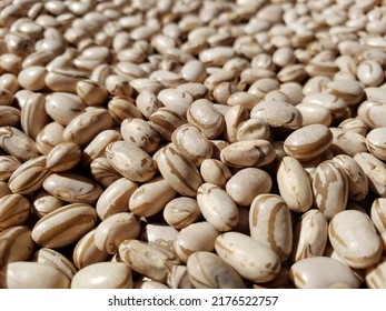 Enlarged Image Of Carioca Bean Grains