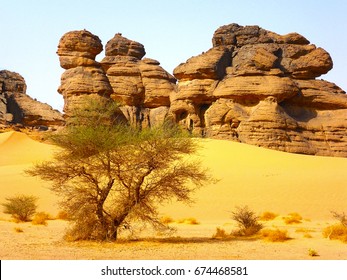 Chad Landscape Images, Stock Photos & Vectors | Shutterstock