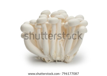 Mushrooms used in asian cuisine Agree with mushrooms used in asian cuisine