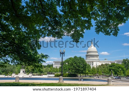 Enormous elm tree frames view of the U.S. Capitol in Washington, DC.