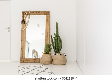 Enormous Mirror Accompanied By Plants In The Living Room