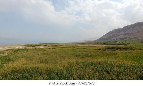Enot Tsukim , Dead Sea , Israel