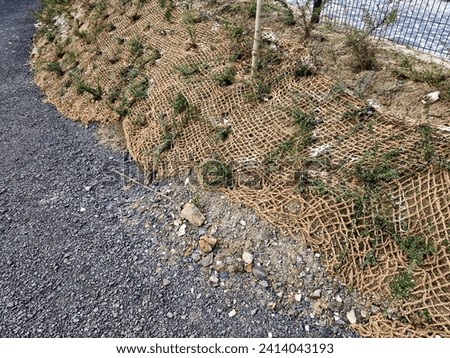 ensuring slope against erosion of substrate and soil by rain. planting of evergreen undemanding creeping shrubs around  warehouse, road, in cut of  highway or railway line, track, stability, highway