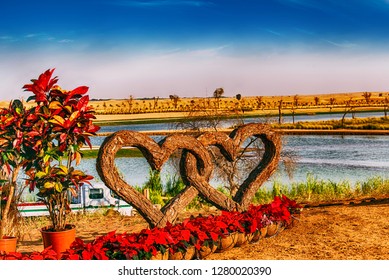 Entangled Love, two wooden shaped love symbols twisted together at Dubai Love Lake