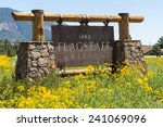 Entering sign Flagstaff in a mountain landscape with yellow flowers