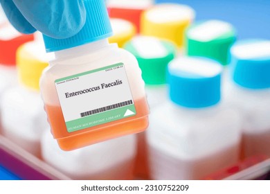 Enterococcus faecalis - this bacterium is found in the human gut and can have both beneficial and harmful effects on human health, depending on the context.