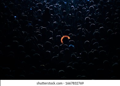 
Enthusiastic fans at a live punk concert. Explosive energy and emotional return create an atmosphere that captures the viewer and makes him feel the full power of music and adrenaline.
 - Powered by Shutterstock