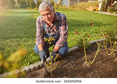 Enthusiastic Senior Man Crouching Near A Flowerbed And Digging In The Ground While Looking The Camera