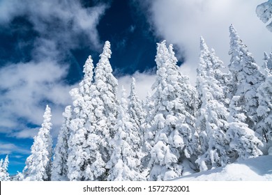 New Mexico Snow Images Stock Photos Vectors Shutterstock