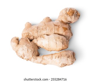 Entire Ginger Root Top View Reverse Isolated On White Background