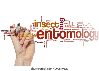 Entomology word cloud concept - Shutterstock ID 290579327